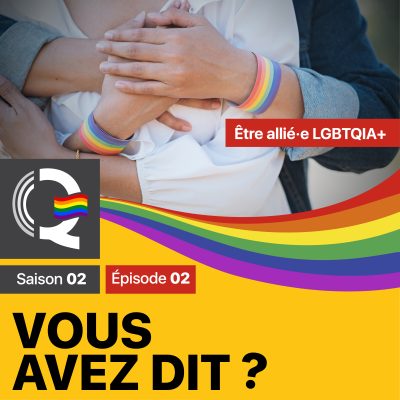 vad-vous-avez-dit-saison-02-episode-02-la-radio-queer-as-you